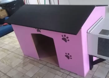 Carpintero Construye Casitas para Mascotas con Aire Acondicionado en Hermosillo