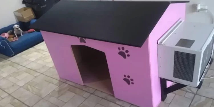 Carpintero Construye Casitas para Mascotas con Aire Acondicionado en Hermosillo