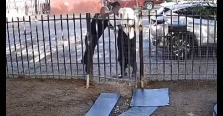 “Para que le bajes de huevos”: Graban golpiza contra el periodista Jorge Heras en Mexicali