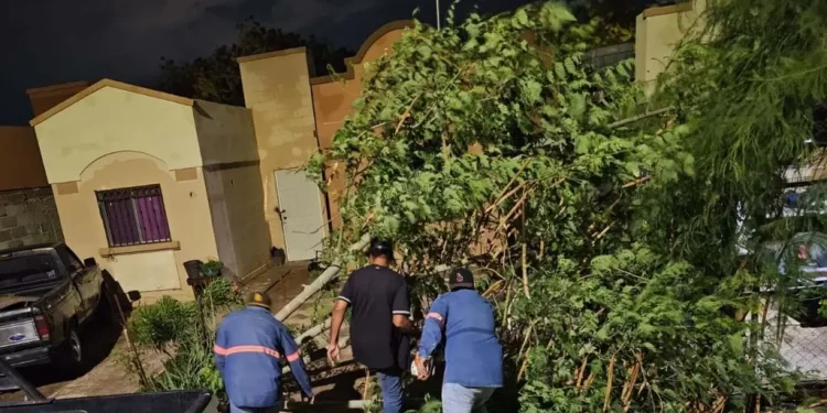 Lluvias en Hermosillo: Viviendas Inundadas y Más de 20 Reportes por Daños