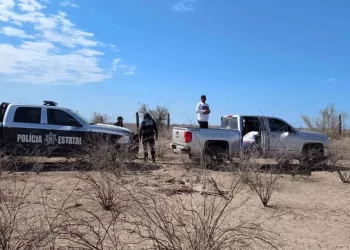 Madres Buscadoras Encuentran Restos en Estación Pesqueira y en Costa de Hermosillo