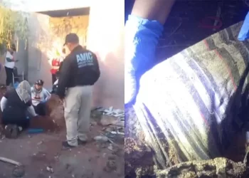 Localizan Osamenta en Patio de Casa Abandonada en Cajeme; Podría Tratarse de un Médico