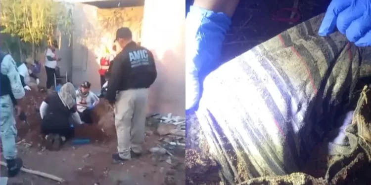 Localizan Osamenta en Patio de Casa Abandonada en Cajeme; Podría Tratarse de un Médico