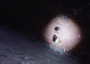 Dos Niños Quedaron Atrapados Dentro de Mina Abandonada en Guaymas; Así Fueron Rescatados