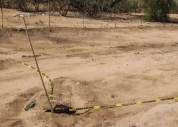 Policías Estatales Encuentran a Hombre Sin Vida en Carretera Hermosillo – Yécora