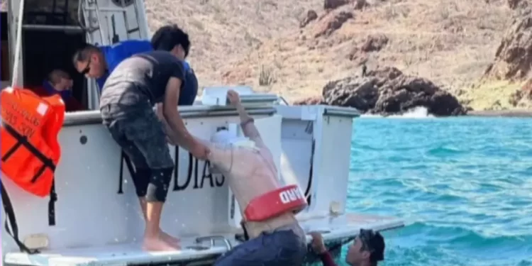Rescatan a 4 Pescadores que Terminaron Atrapados en Playa “El Tomate” en San Carlos