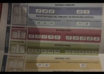 Maru Campos, a punto de lograr un Poder Judicial carnal gracias a impecable uso de acordeones