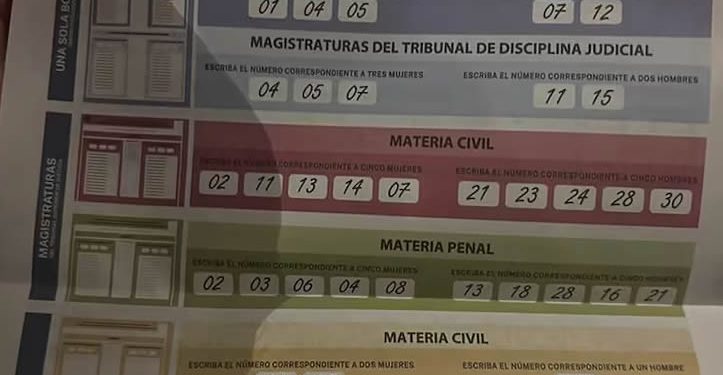 Maru Campos, a punto de lograr un Poder Judicial carnal gracias a impecable uso de acordeones