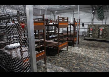 ‘Alligator Alcatraz’ quedará vació en próximos días: NYT