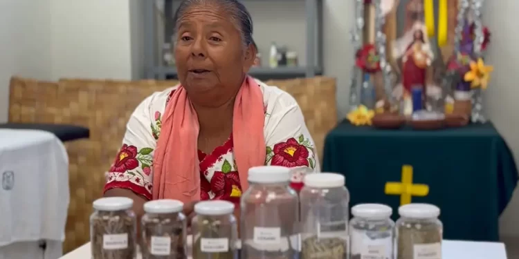 Aprueba Cofepris primer consultorio tradicional indígena en Sonora