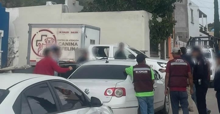 Carne encontrada en un domicilio de Nogales donde rescataron 54 perros era de res: FGJE