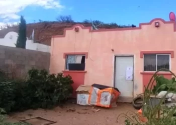 Investigan a expolicía federal por perros congelados y fileteados en Sonora