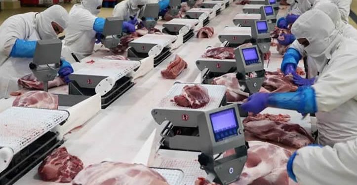 Productores de cerdo mexicanos alertan ‘dumping’ de EU