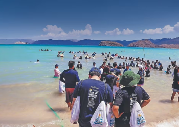 Buscan preservar la Totoaba