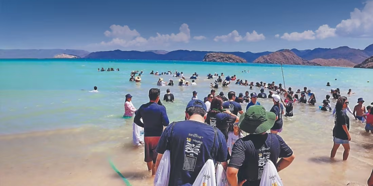 Buscan preservar la Totoaba