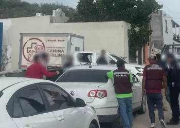 Detectan rastro clandestino de perros en Nogales, Sonora