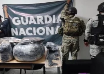 Detienen a 224 personas en Sonora; aseguran armas, drogas y vehículos