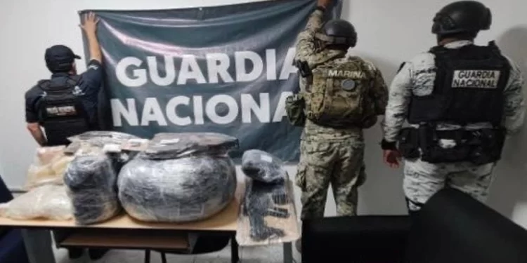 Detienen a 224 personas en Sonora; aseguran armas, drogas y vehículos