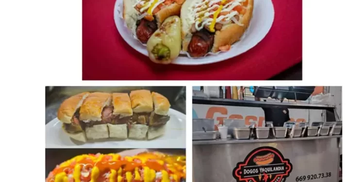 Llegan a Mazatlán los auténticos “Dogos Yaquilandia”, tradición de Ciudad Obregón