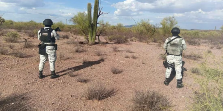 Elementos de la Guardia Nacional aseguran y destruyen 13 artefactos explosivos en desierto de Sonora