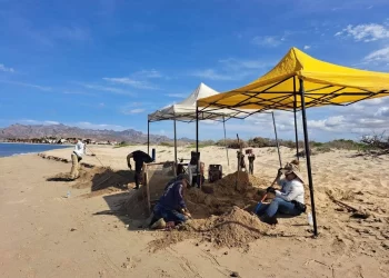 Hallan cráneo humano en playa de Guaymas; buscadoras localizan fosa clandestina