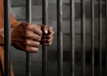 CdMx, Edomex y Sonora concentran 33% de los ingresos a cárceles estatales