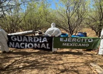Operación Frontera Norte: Aseguran 12 MDP en Material para Elaborar Drogas en Sonora