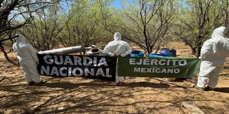 Operación Frontera Norte: Aseguran 12 MDP en Material para Elaborar Drogas en Sonora