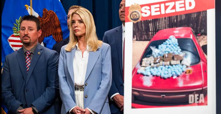 Trump ordena al Ejército de Estados Unidos combatir a los cárteles de la droga extranjeros