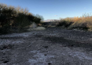 Semarnat, Profepa y Conagua obstaculizan justicia a víctimas de Río Sonora 