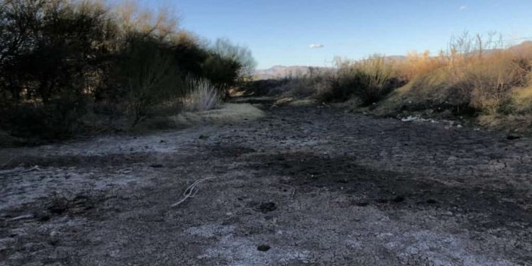 Semarnat, Profepa y Conagua obstaculizan justicia a víctimas de Río Sonora