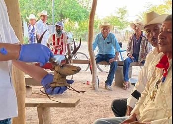 Se han restituido 53 mil hectáreas y se consolidan 9 planes de justicia: Sedatu