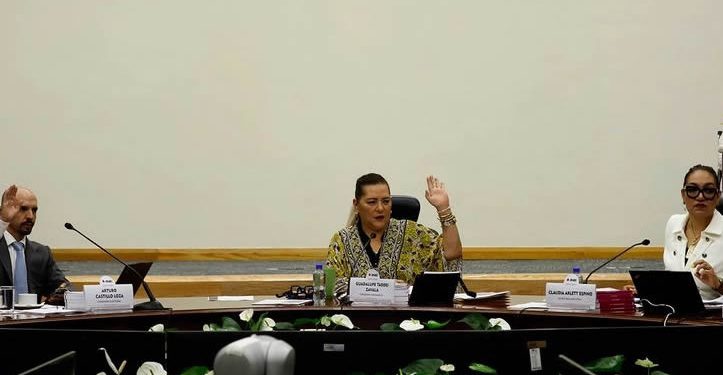 Plantea INE presupuesto de 25 mil mdp para 2026