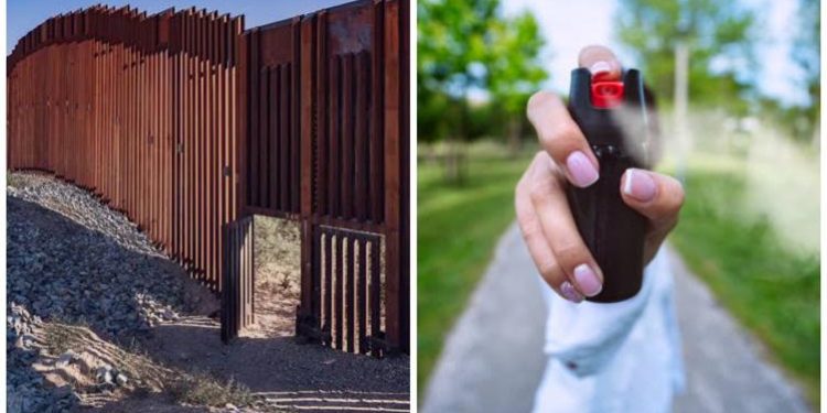 Sentenciaron a migrante mexicana por rociar con gas pimienta a agente