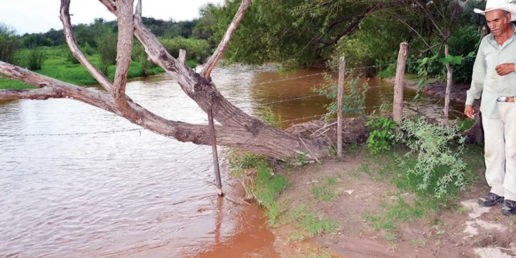 Se trabaja en plan integral de salud para afectados por contaminación de Río Sonora: CSP