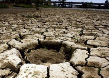 Sequía golpea a 65 municipios de Sonora; son 15.3% más que el año pasado