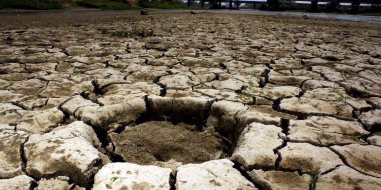 Sequía golpea a 65 municipios de Sonora; son 15.3% más que el año pasado