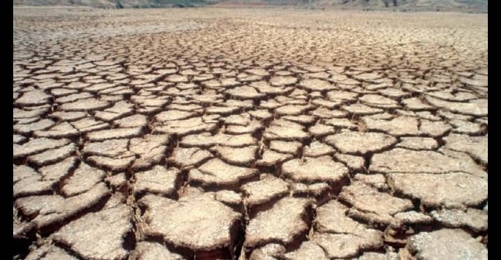 Región Valles del Yaqui y del Mayo: siembran trigo y cosechan deudas e incertidumbre