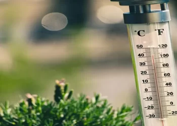 ¿Hasta Cuándo Estará la Onda de Calor en Sonora? Pronostican Temperaturas Mayores a 47ºC