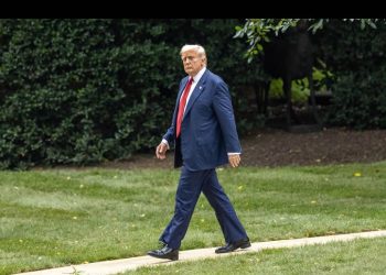 “Todos pierden” con la guerra comercial, menos el presidente de Estados Unidos