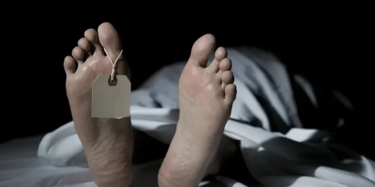 Identifican a hombre de Guanajuato entre los cuerpos no reclamados en Sonora