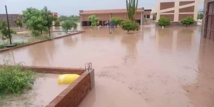 Universidad del Bienestar en Sonora resulta afectada tras intensas lluvias
