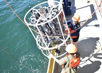 La “zona muerta” del Golfo se reduce; científicos celebran avance a la meta ambiental