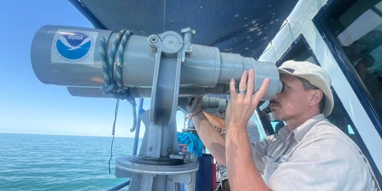 Arranca Crucero de Observación Vaquita Marina 2025