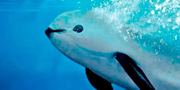 Destaca Primer Informe de Gobierno avances en materia de medio ambiente y desarrollo sustentable