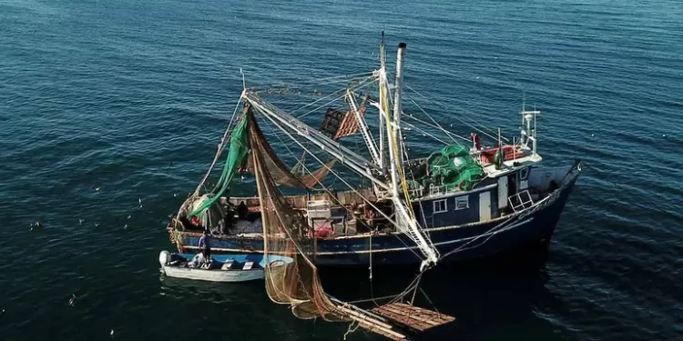 Impone EU embargo comercial contra 21 pesquerías mexicanas por muerte de especies