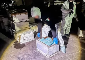 Gabinete de Seguridad asegura fentanilo en Sonora