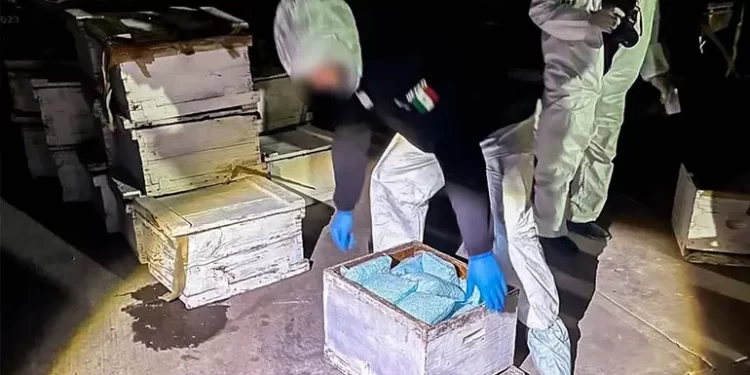 Gabinete de Seguridad asegura fentanilo en Sonora