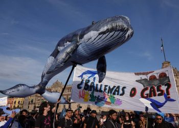 Acción y resistencia colectivas, la esperanza ante la crisis climática