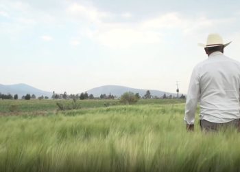 Ampliación de la Primera Convocatoria 2025 en Sonora del Componente Fomento a la Agricultura